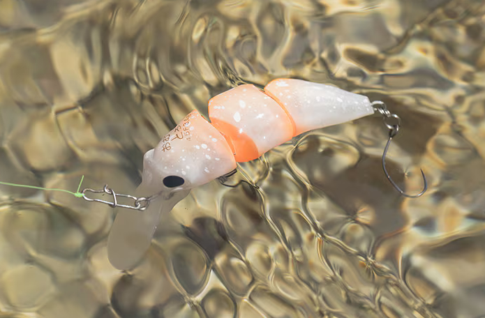 ルアーのアップ写真