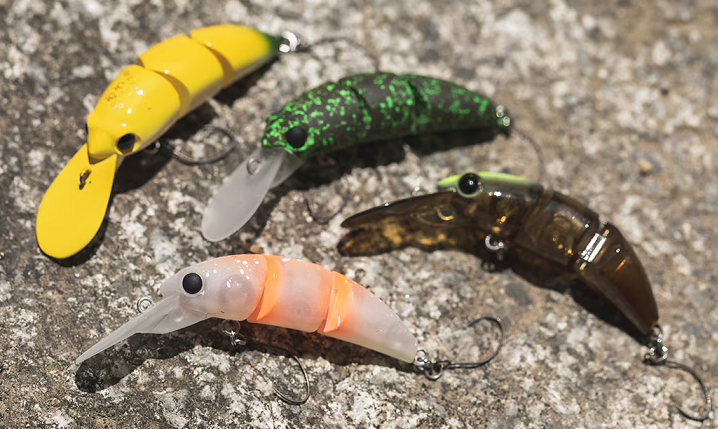 ルアーのアップ写真