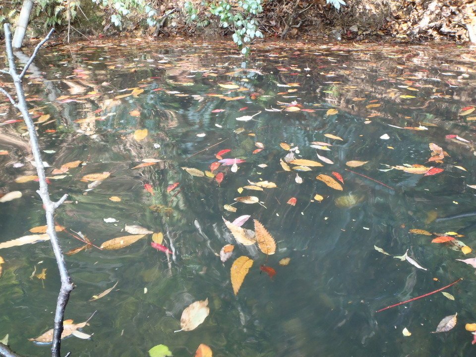 初冬バス釣りは風が大敵 どうやって攻略すればいいの おすすめの釣り方やポイントを徹底分析