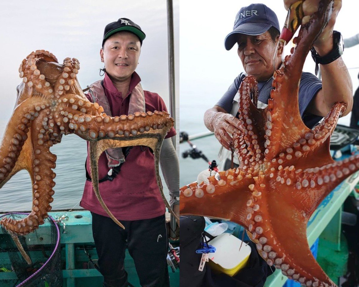 【釣果速報】兵庫県釣り船 名田屋はキロオーバーのマダコがじゃんじゃん釣れてるってウワサ！大型タコを狙いたいなら今スグに乗船を！