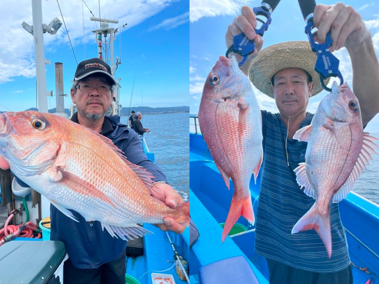 【釣果速報】マダイにカサゴ、マハタ！茨城県ことぶき丸に乗るとクーラーボックスが高級魚の宝石箱になるぞ！