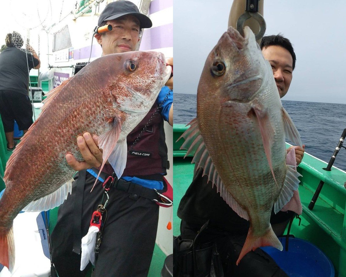 【釣果速報】茨城県長岡丸で4.7kgのど迫力マダイをキャッチ！2.5kgの大鯛も上がる！大物マダイを捕まえに行きませんか？