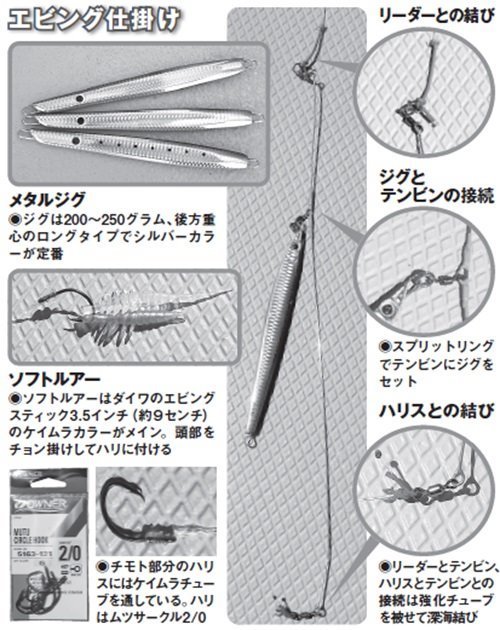 相模湾のキハダ・カツオ