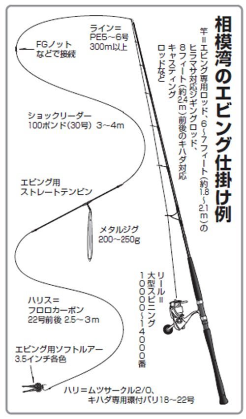 相模湾のキハダ・カツオ