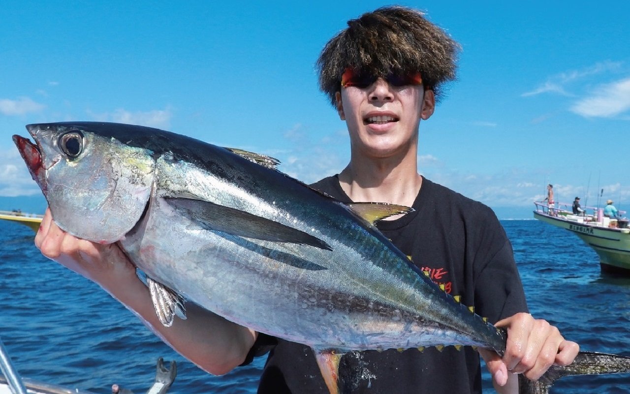 相模湾のキハダ・カツオ