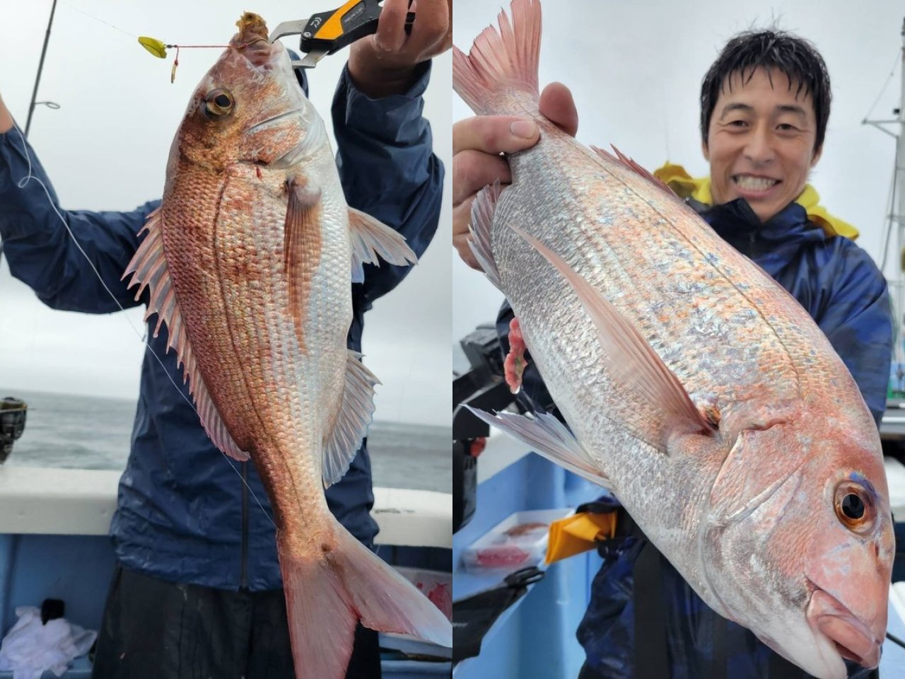 【釣果速報】茨城県幸栄丸で食べ頃サイズの良型2.00kgマダイ上がる！多彩なゲストも見え釣行は大充実！