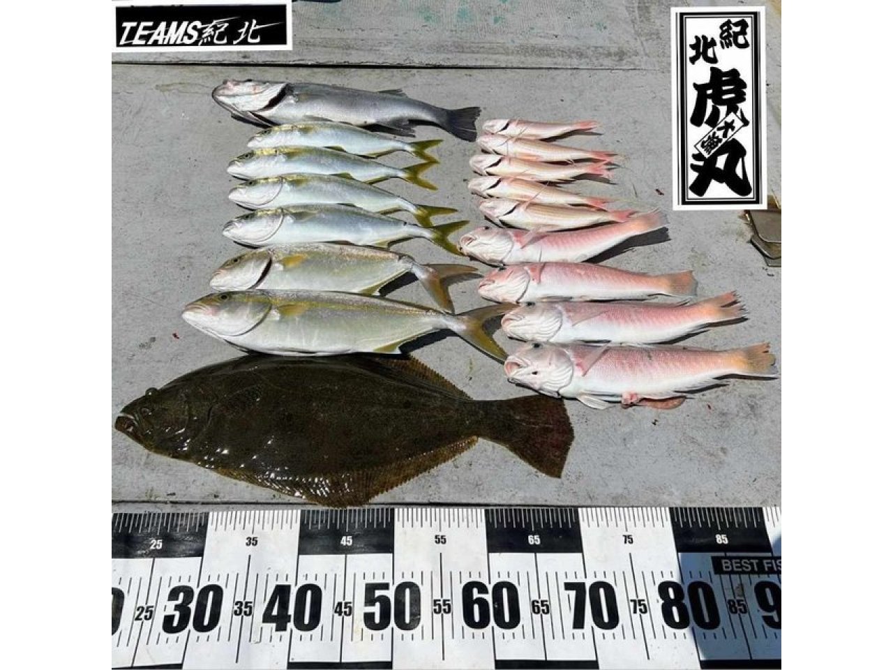 【釣果速報】和歌山県虎丸でヒラメ・シオ・シロアマダイなど人気魚種勢ぞろい！何に出会えるかお楽しみの釣行はいつも大人気！        