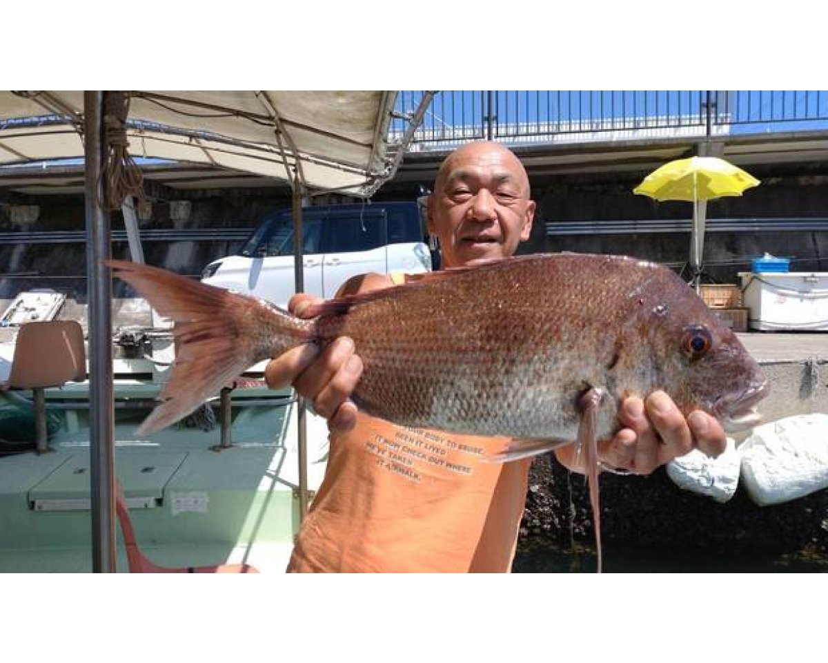 【釣果速報】祝！62cmの巨大マダイGET！！あなたも和歌山県海斗丸で大鯛をゲットしよう！