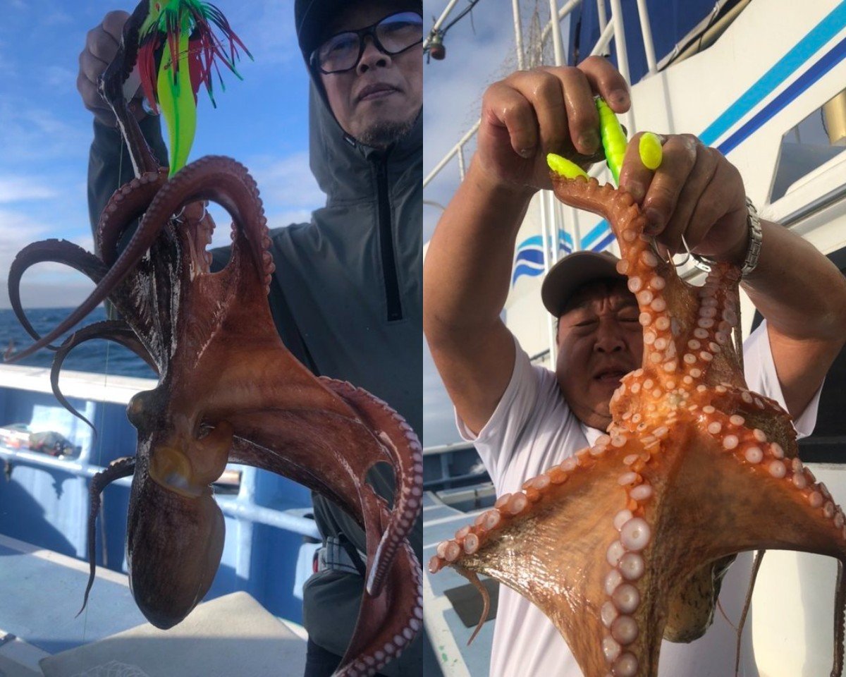 【釣果速報】茨城県幸栄丸ででマダコラッシュ！キロオーバーの良型揃いで釣り客大満足の好釣果！