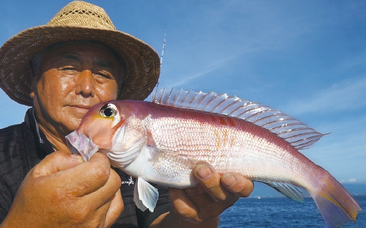 相模湾のアマダイは今年もイイ感じ　アタリ活発で数釣りも有望だ！