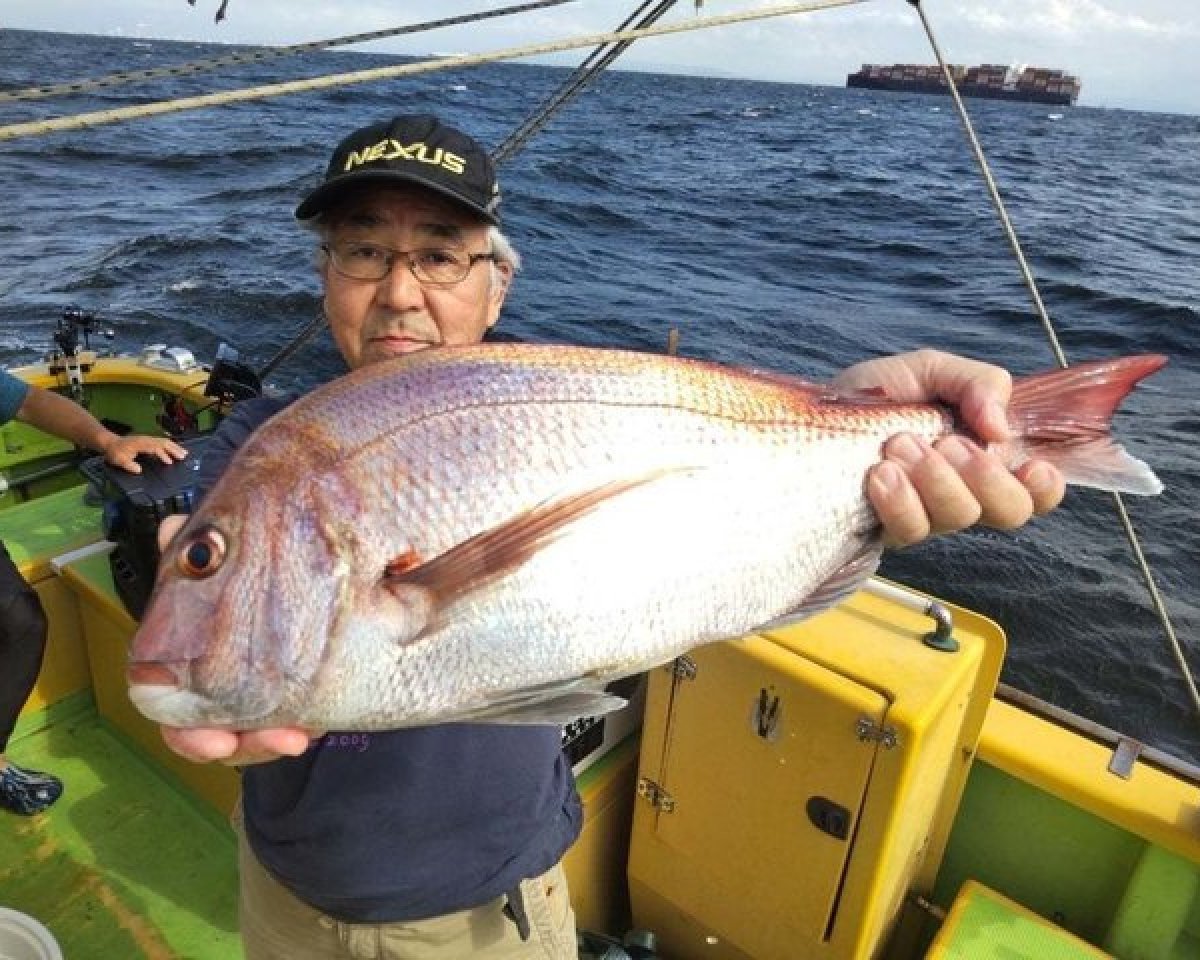 【釣果速報】神奈川県鴨下丸kawanaのマダイ船が好調！ゲストも多種多様！充実の釣行をお約束します！