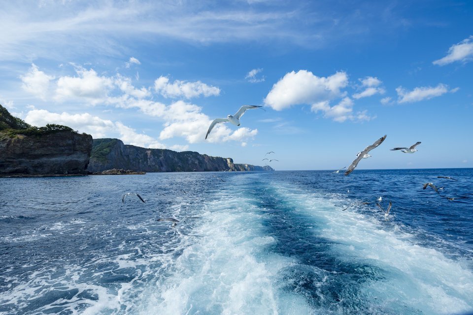 ヒラメの船釣りが激アツ 爆釣必至の釣り方 仕掛け ポイントを釣行レポートをまじえて大公開 さらに人気釣り船のお得情報も教えちゃいます