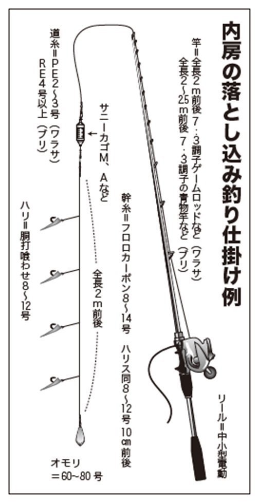 大興奮必至の落とし込み ブリ&ワラサを狙え！