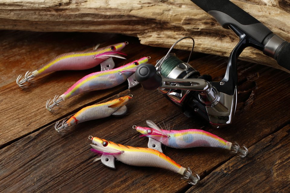 餌木　エギ　写真