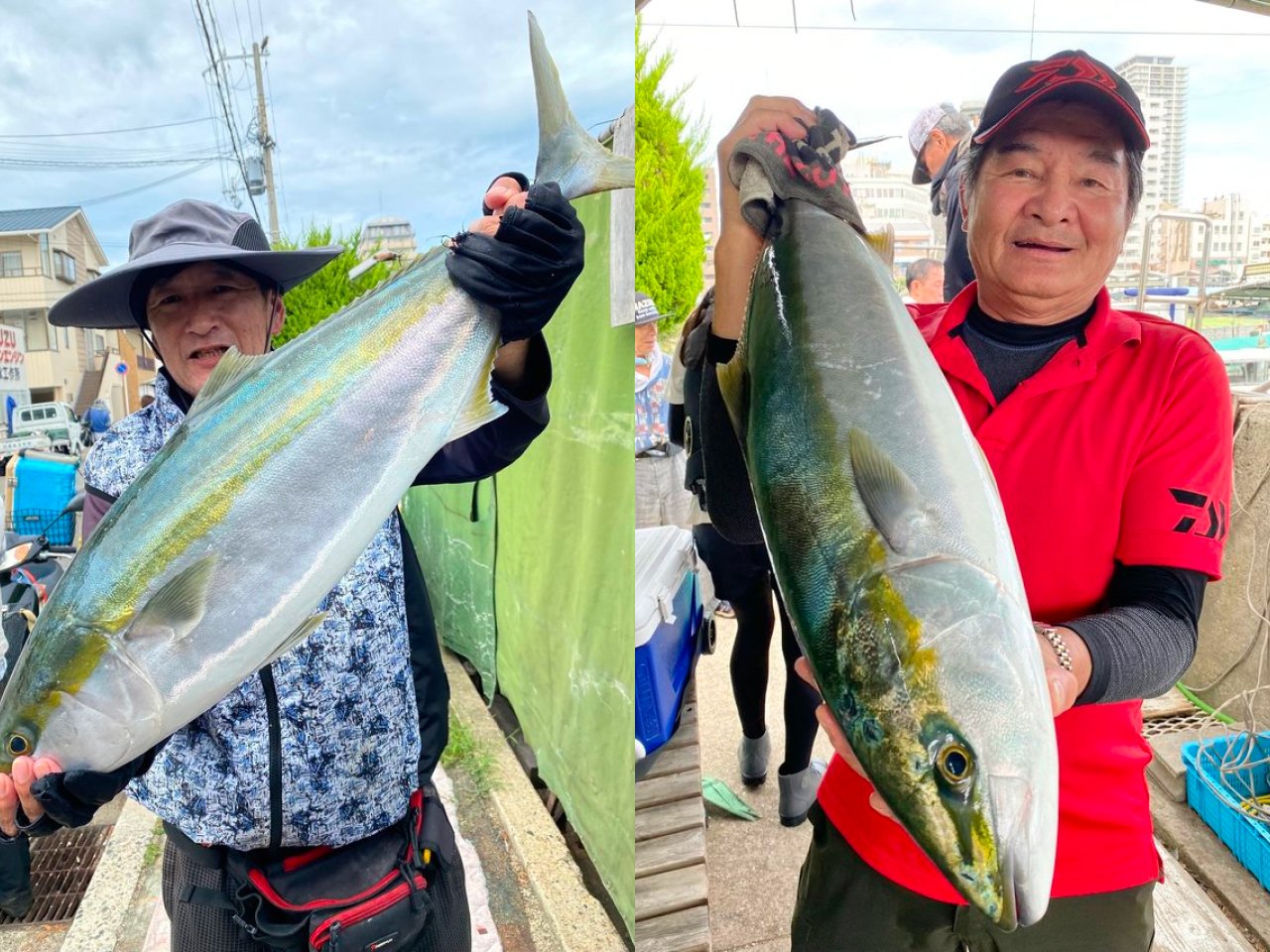 【釣果速報】兵庫県釣り船 名田屋で90cmの巨大ブリ釣れる！まるまる太ったメジロもキャッチ！順調にサイズアップしている青物をキャッチしに行こう！