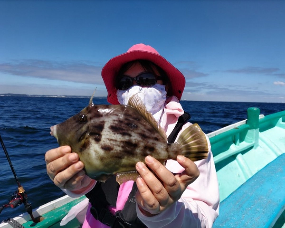 【釣果速報】型狙いのカワハギ釣行で28cmオーバーが続々ヒット！千葉県彦次郎丸であなたも良型をゲットしよう！