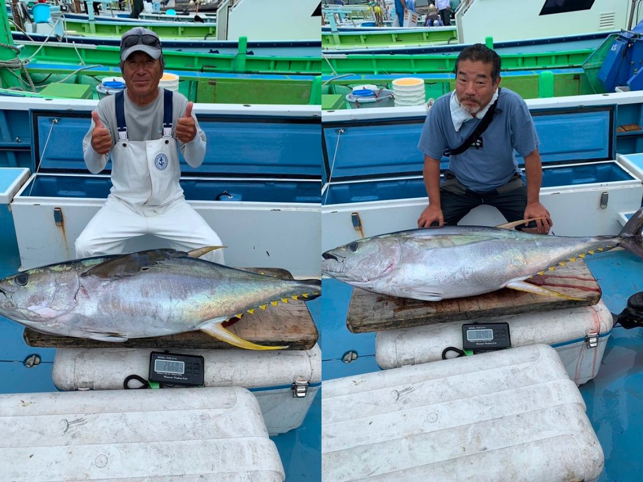 【釣果速報】神奈川県愛正丸で25.00～30.00kgのキハダマグロ上がる！さあ、海のお宝を探す冒険に出かけよう！！