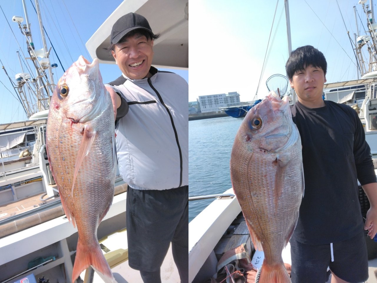 【釣果速報】福岡県木鶏丸でマダイ大漁！アタリ爆発でトップは12匹！好調な今シーズン、自己最高記録を狙ってみませんか？