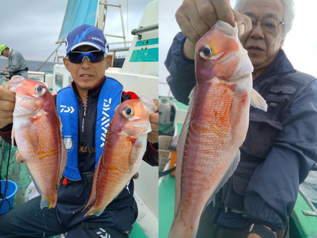 【釣果速報】神奈川県島きち丸で35cmの良型アマダイGET！ゲストは水族館が開けるぐらいバラエティ豊かに！一度の釣りでたくさんの魚たちとの出会いを楽しもう！