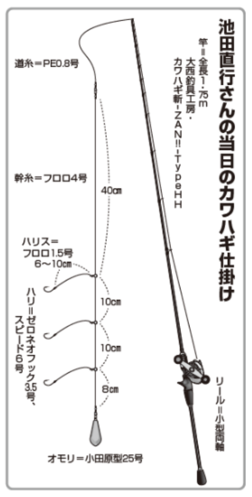 湾奥カワハギ攻略