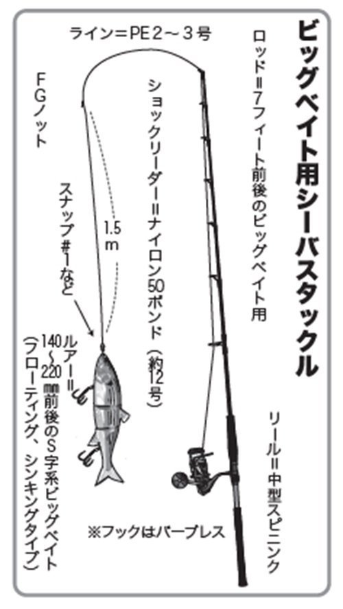 ビッグベイトで狙うコノシロパターンの東京湾シーバス