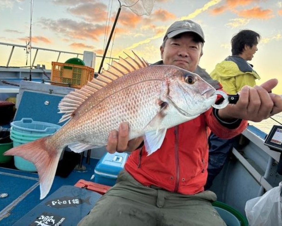 【釣果速報】入れ食いでマダイ連発！？好釣果が期待できる今がチャンス！千葉県優光丸に急げ～！