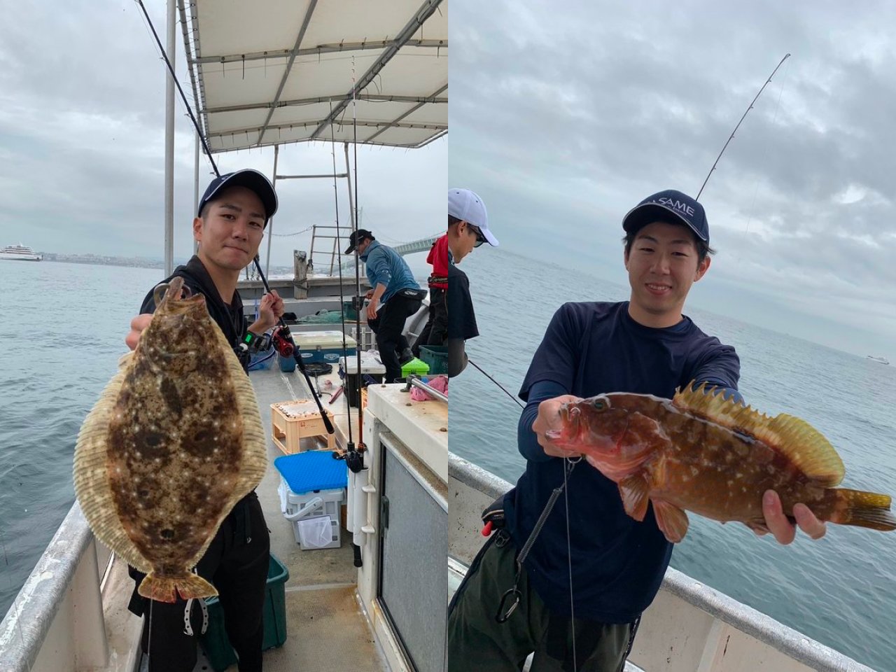 【釣果速報】兵庫県釣り船 福三郎でハマチが入れ食い！アコウ・ヒラメ・サワラなど人気魚種も確保！このチャンス、絶対逃さないで！