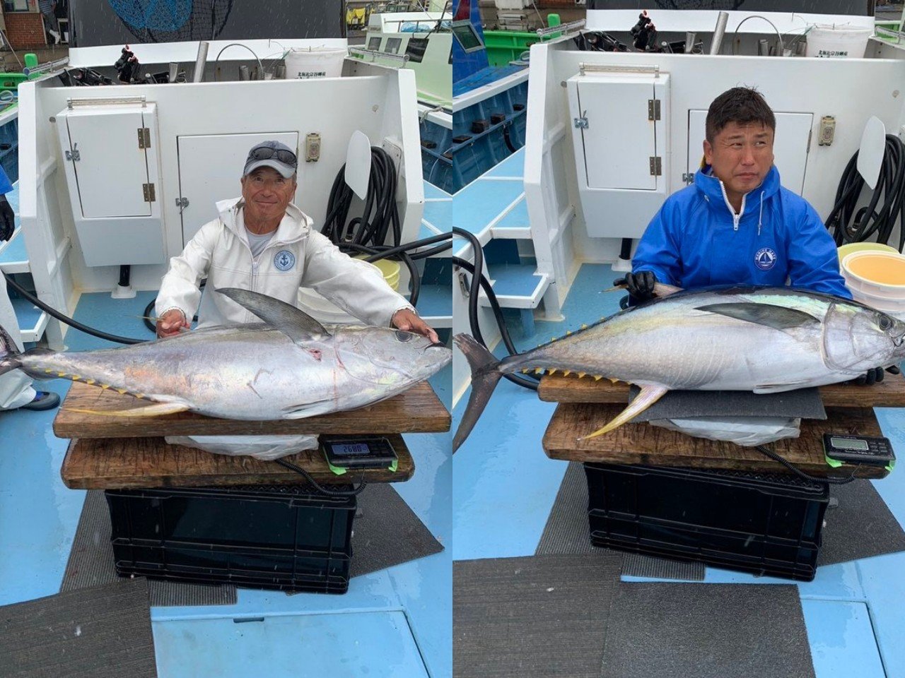 【釣果速報】キハダマグロGET！！MAX34.00kg！神奈川県愛正丸で最高記録を更新しよう！