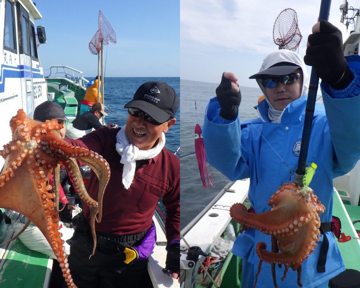 【釣果速報】茨城県大内丸でマダコ三昧！サイズも2kgのキロオーバータコを筆頭に好調です！