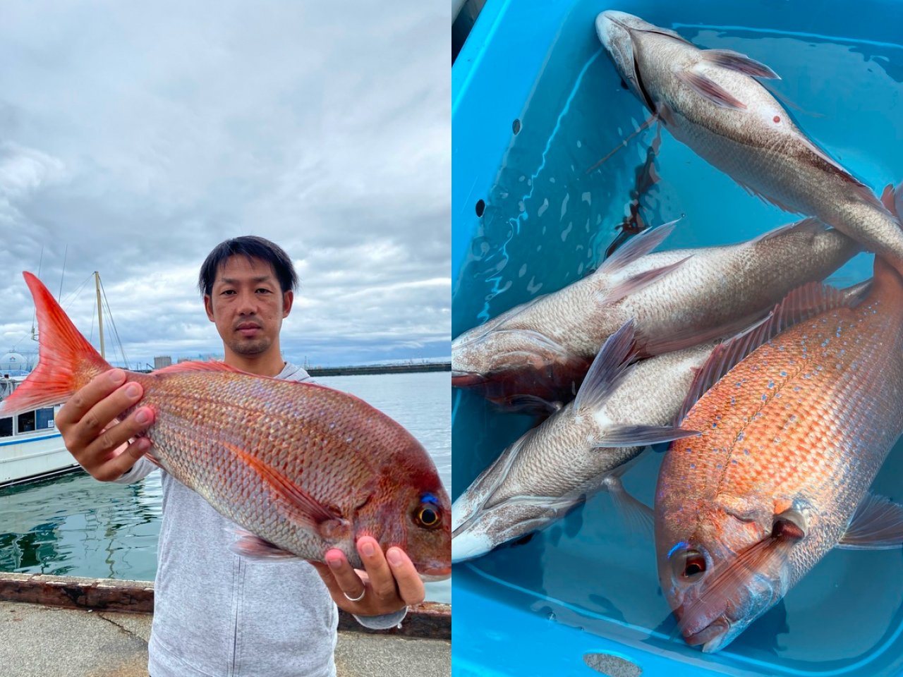 【釣果速報】静岡県山大丸でマダイ快釣！アタリ爆発でトップは13匹！今すぐマダイ天国に直行だ！