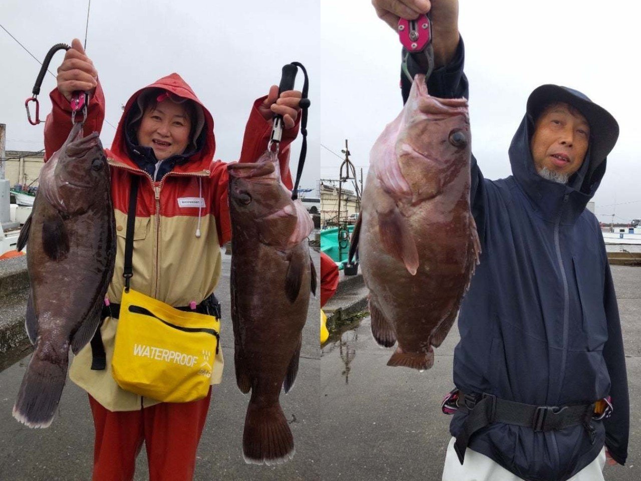 【釣果速報】千葉県加幸丸で最大2.10kgのマハタ確保！他にも色々GETでみんな笑顔満開！憧れの根魚を狙うなら今！