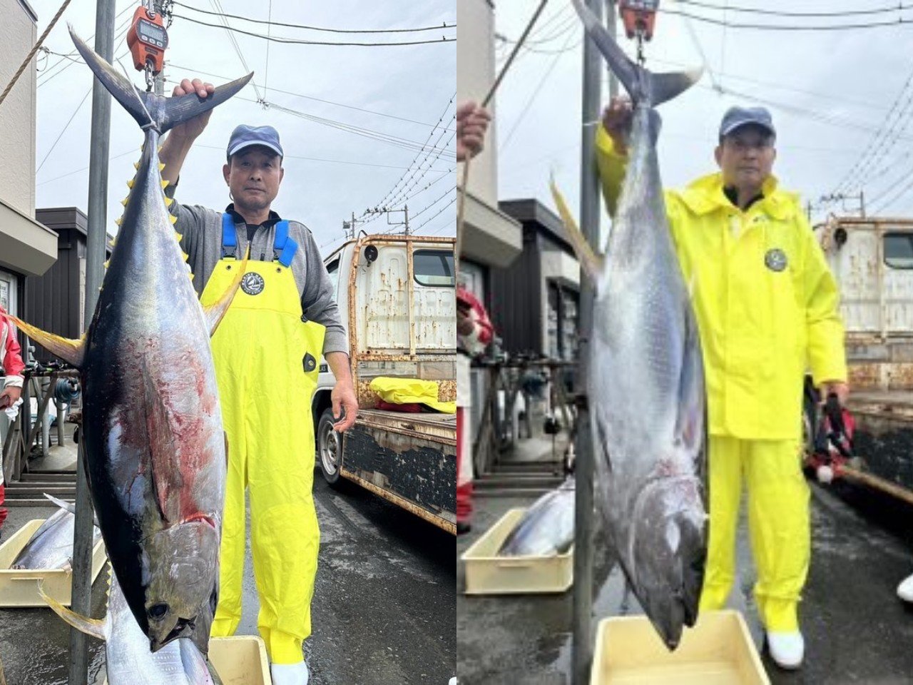 【釣果速報】キハダマグロGET！MAX30.40kg！神奈川県ちがさき丸で最高記録を更新しよう！