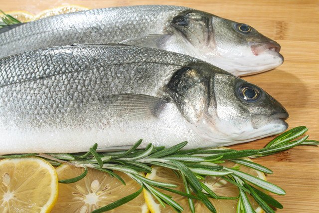 シーバス　初めて　ルアー