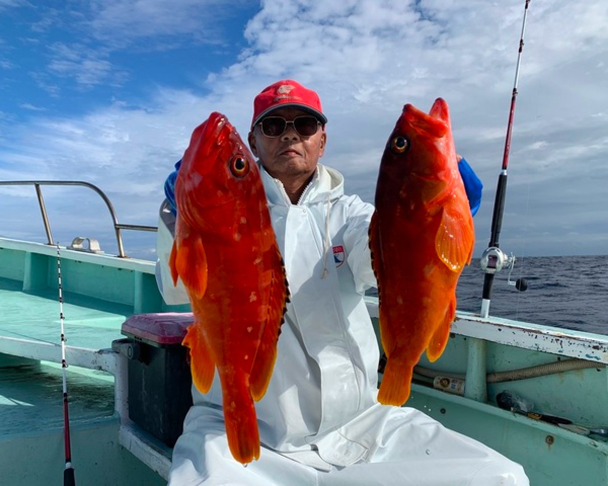 【釣果速報】良型アカハタ連続確保！短時間の出船でもお土産バッチリ！充実の釣行は静岡県久寿丸で！