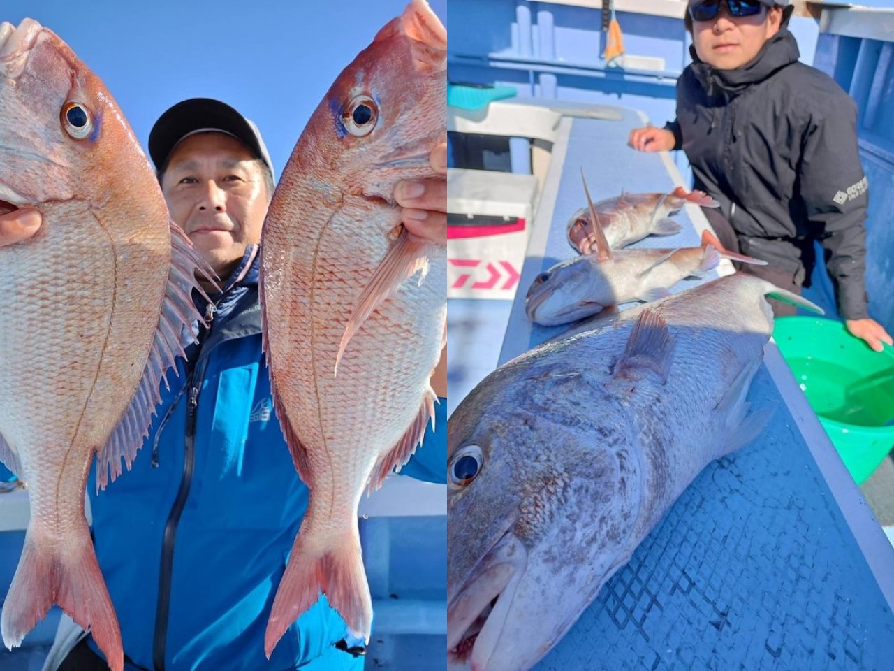 【釣果速報】うねりをものともせずマダイのヒットが連発！茨城県幸栄丸の釣行でクーラーボックスを人気魚種でいっぱいにしよう！