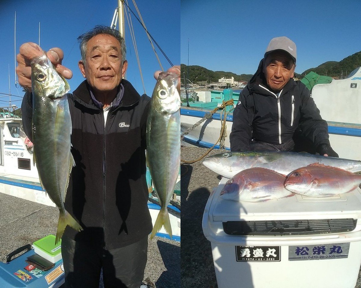 【釣果速報】竿頭35匹！千葉県勘次郎丸でアジの多点掛けが絶好調！ブリ＆マダイも！数釣りするなら今すぐの乗船がおすすめ！