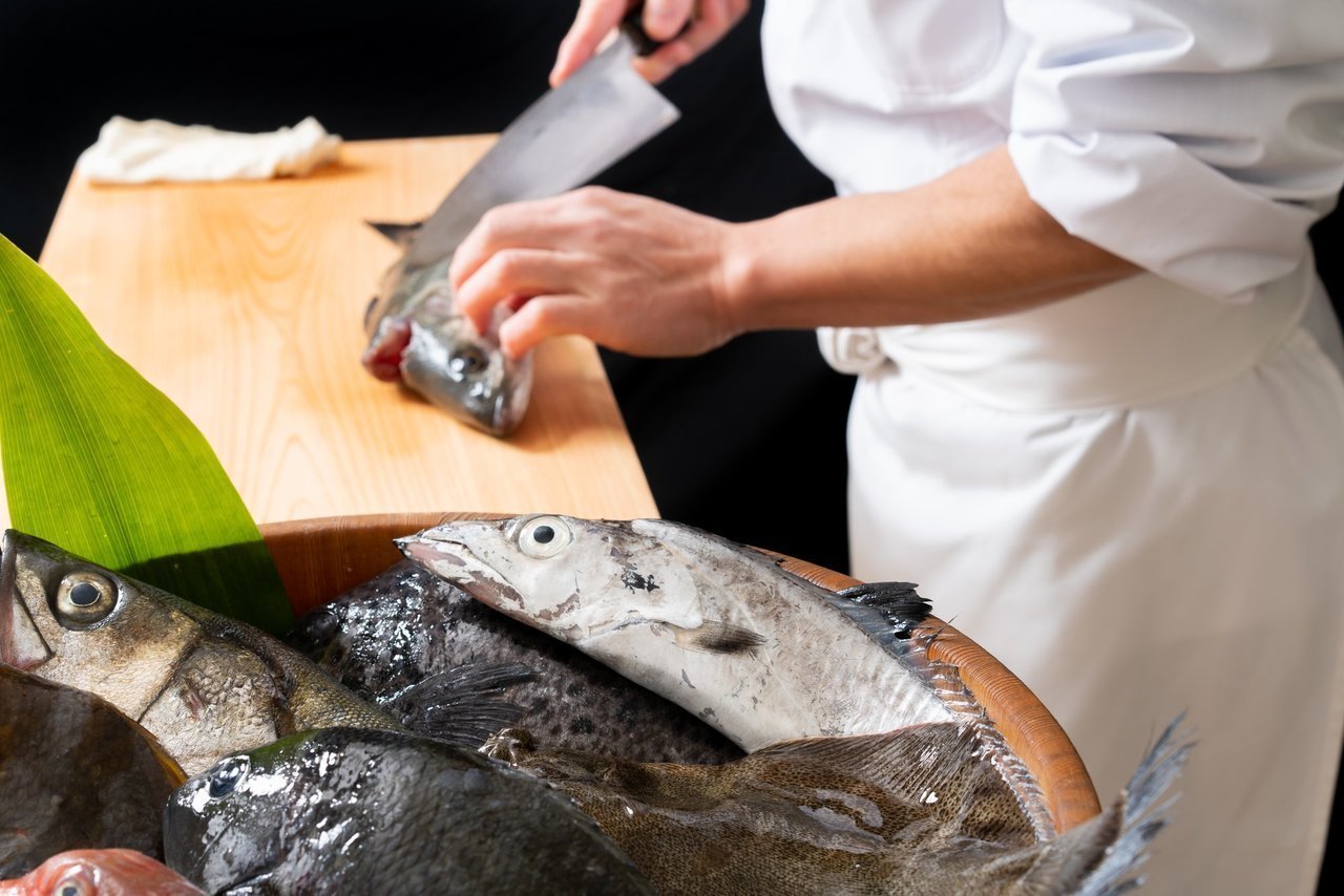 アラってクエのこと 2種類の違う魚なのに呼び名がまぎらわしい そんな魚をご紹介します