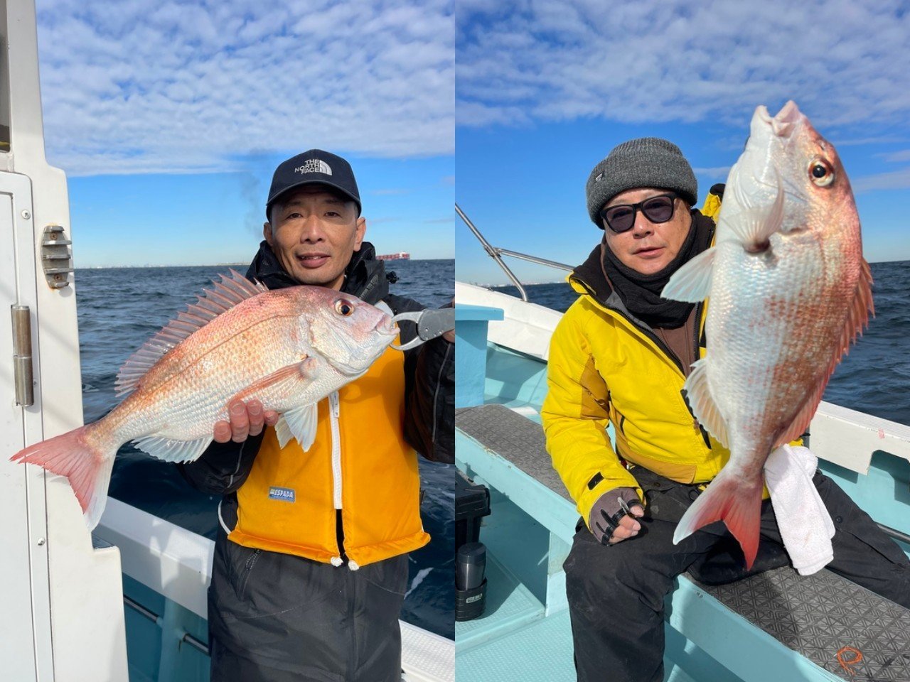 【釣果速報】神奈川県村本海事でマダイ絶好調！トップ7匹！今後も期待大！初心者も大歓迎！