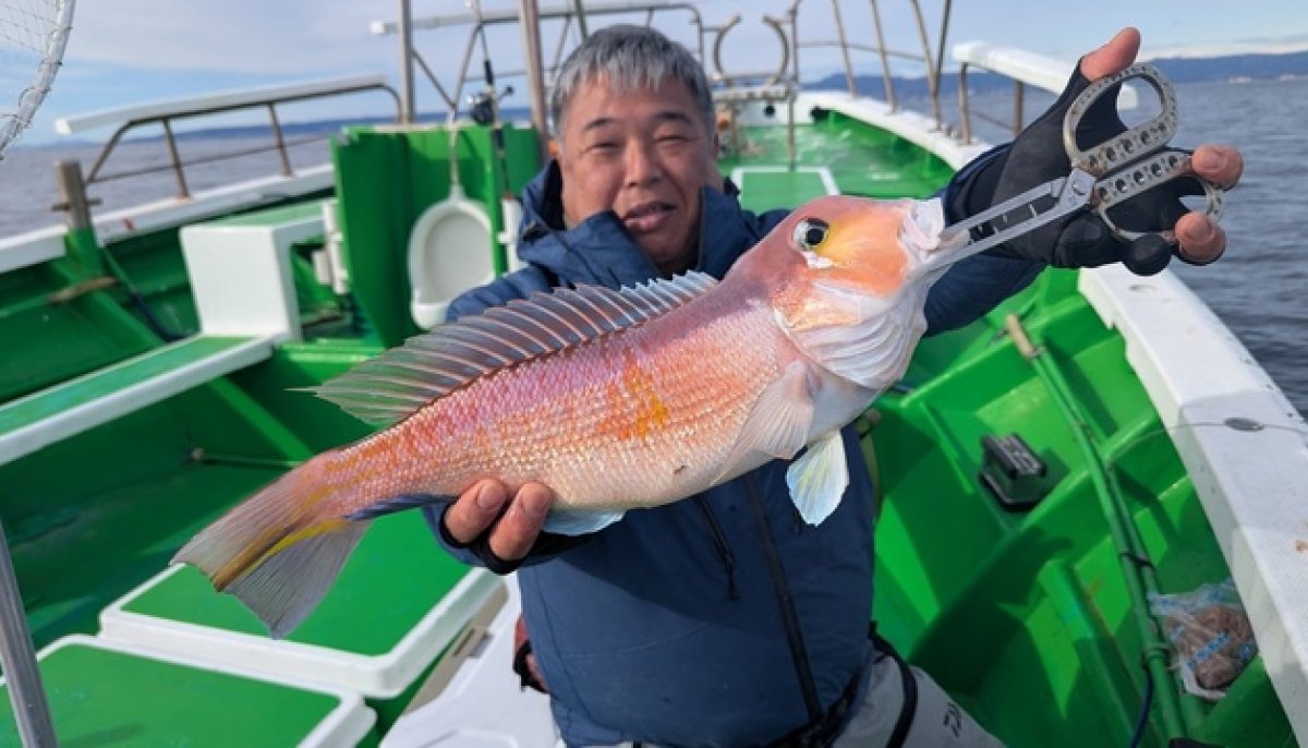 【釣果速報】茨城県弁天丸でアマダイトップ6匹！憧れの超高級魚をゲットできるチャンスを絶対に逃すな！