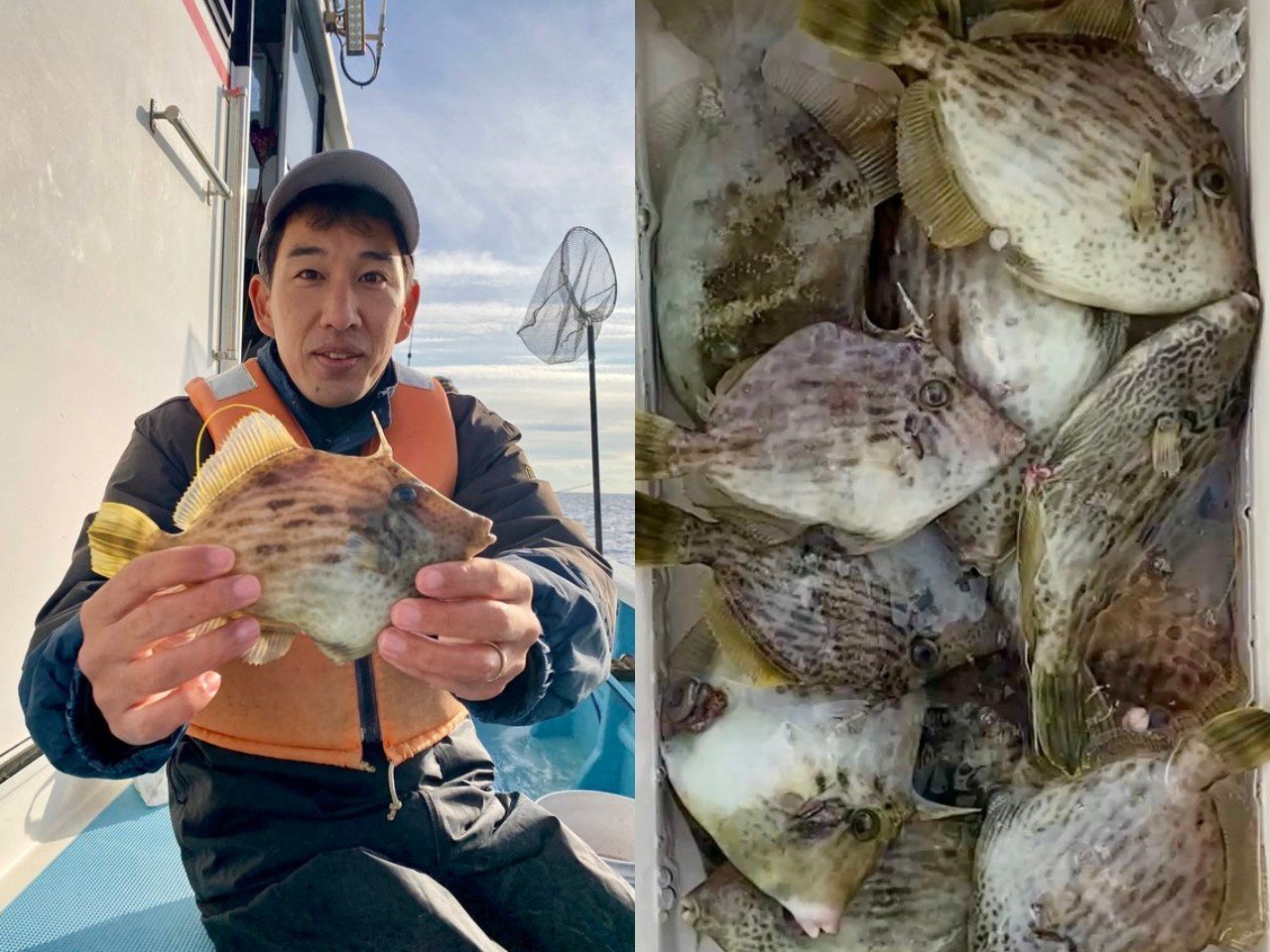 【釣果速報】神奈川県志平丸で良型カワハギが釣れる！最大27cm！冬の味覚をいち早くゲットしよう！