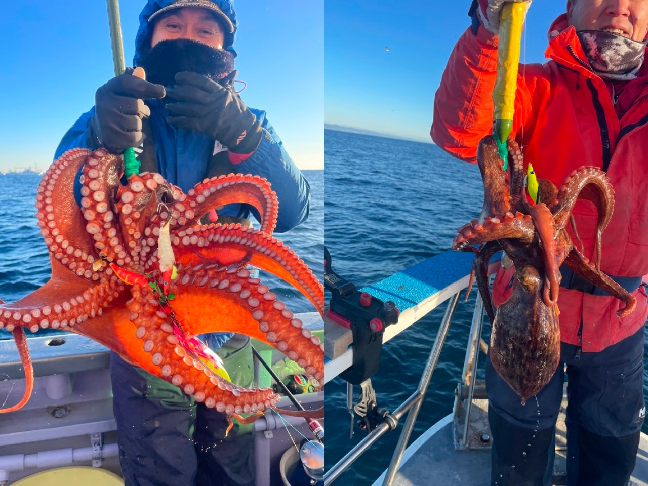 【釣果速報】3.60kgのモンスターマダコ確保！茨城県日立丸の船長が厳選するポイントで記録更新マダコを釣ろう！