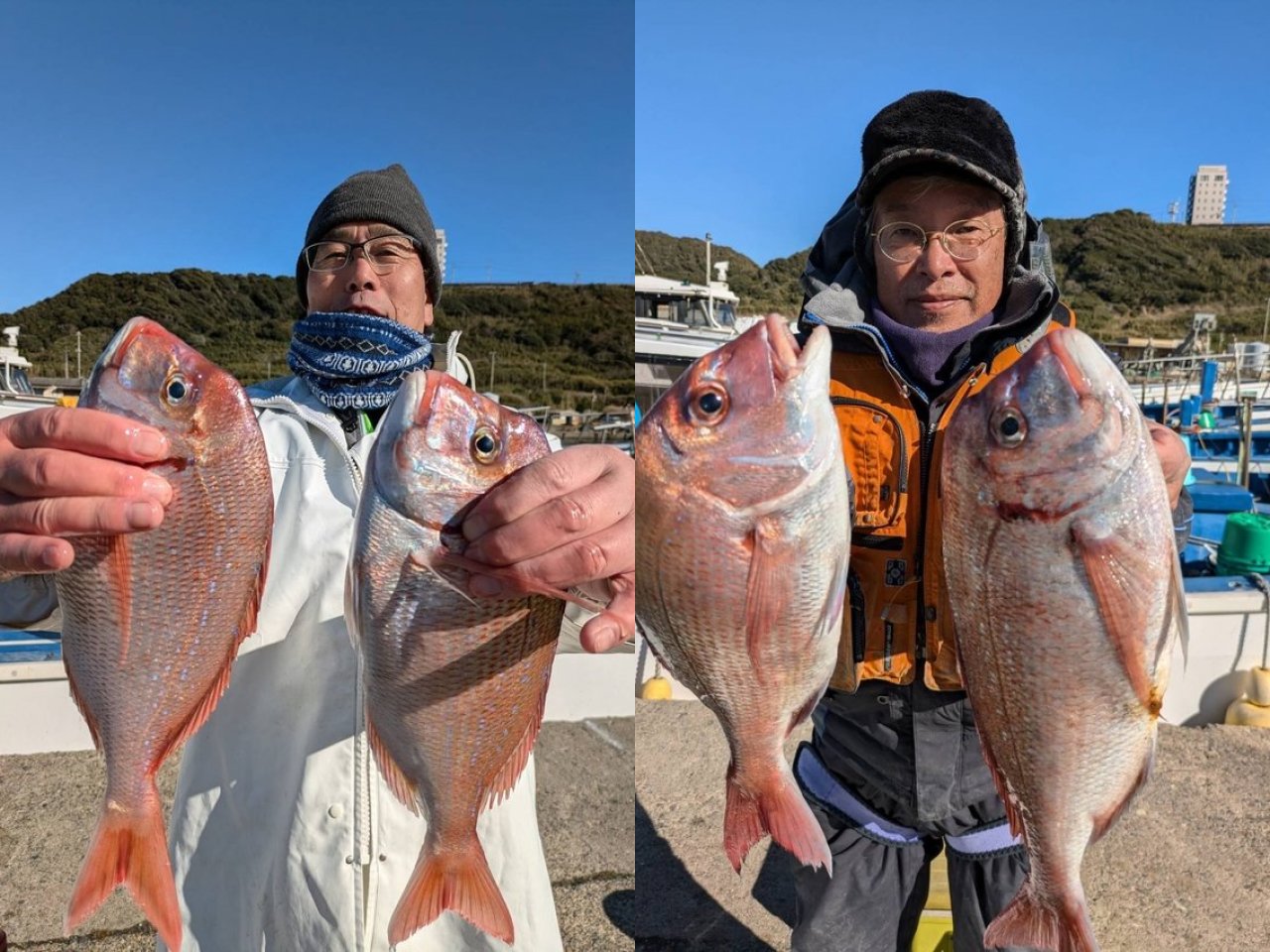 【釣果速報】千葉県隆正丸でハナダイ大漁！アタリ爆発でトップは50匹！今すぐハナダイ天国に直行だ！