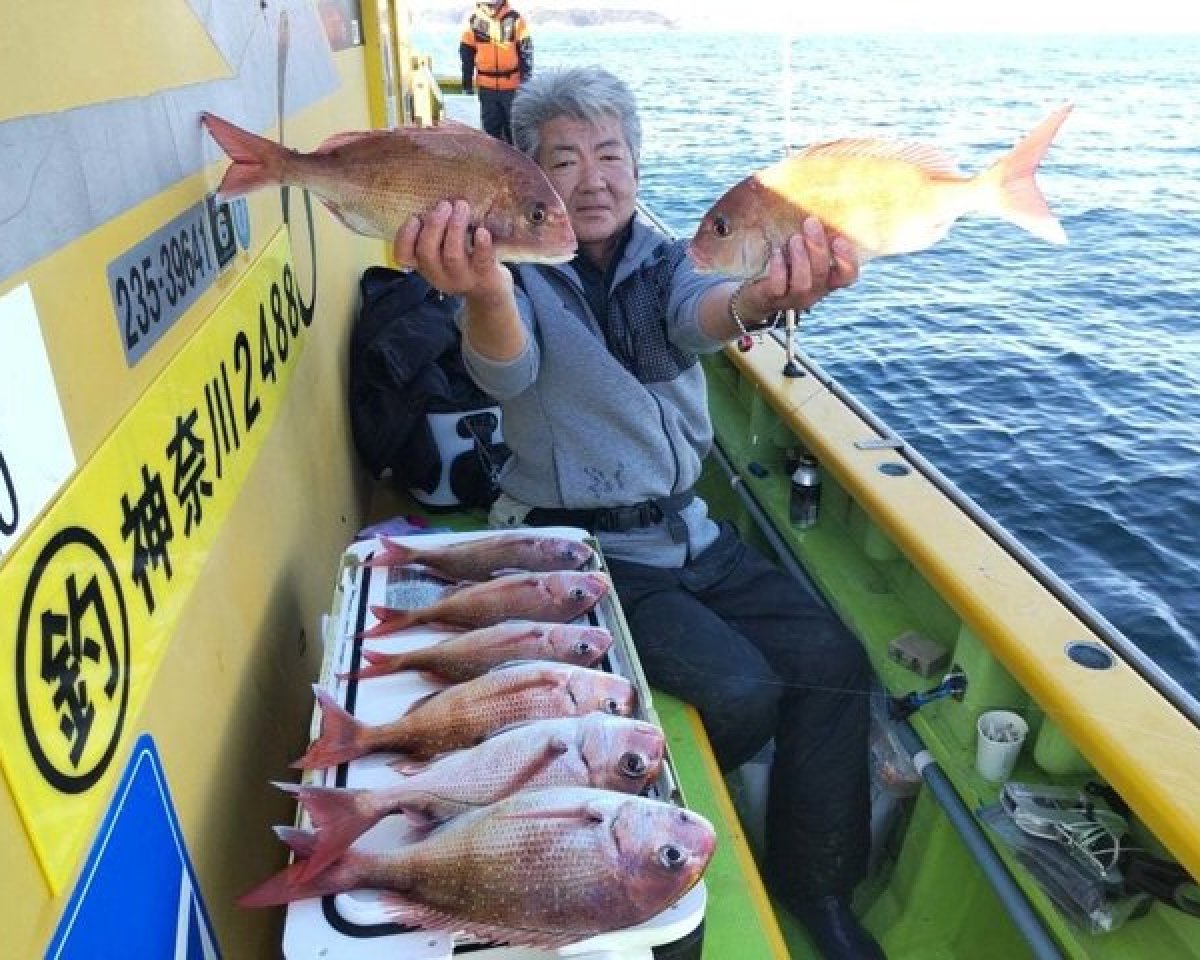 【釣果速報】神奈川県鴨下丸kawanaで2.5kgの特大マダイ出た！次にビッグワンを手にするのはあなたかも？！