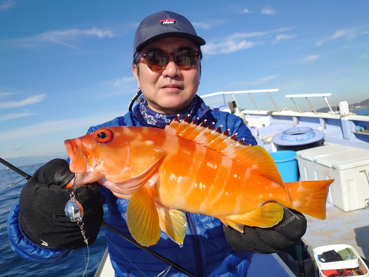 【釣果速報】神奈川県丸伊丸で30cm超えのBIGアカハタゲット！あなたも真っ赤な海の宝石を捕まえに行きませんか？