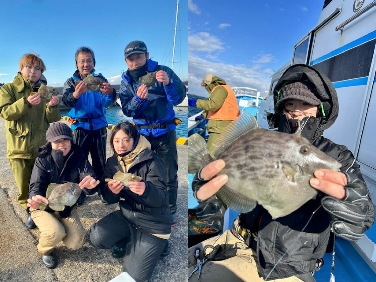 【釣果速報】千葉県宝生丸で良型カワハギが一日中釣れる！帰港後、極旨天ぷらに！絶品カワハギをゲットできるのは今だけ！