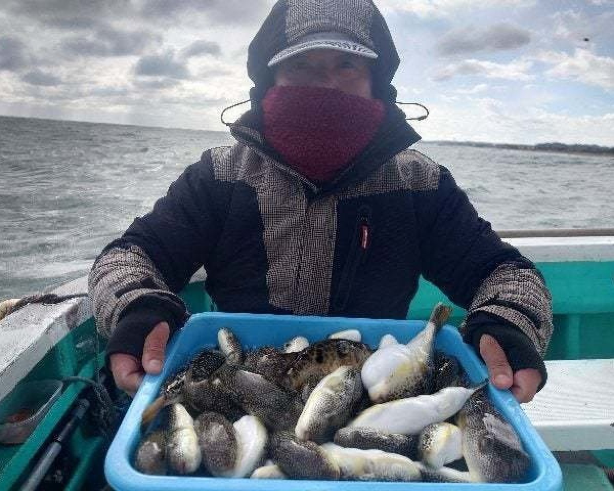 【釣果速報】千葉県利永丸はショウサイフグが好調！海況悪い中でもヒット＆キャッチ多数！チャンスの多い今、ぜひ乗船を！