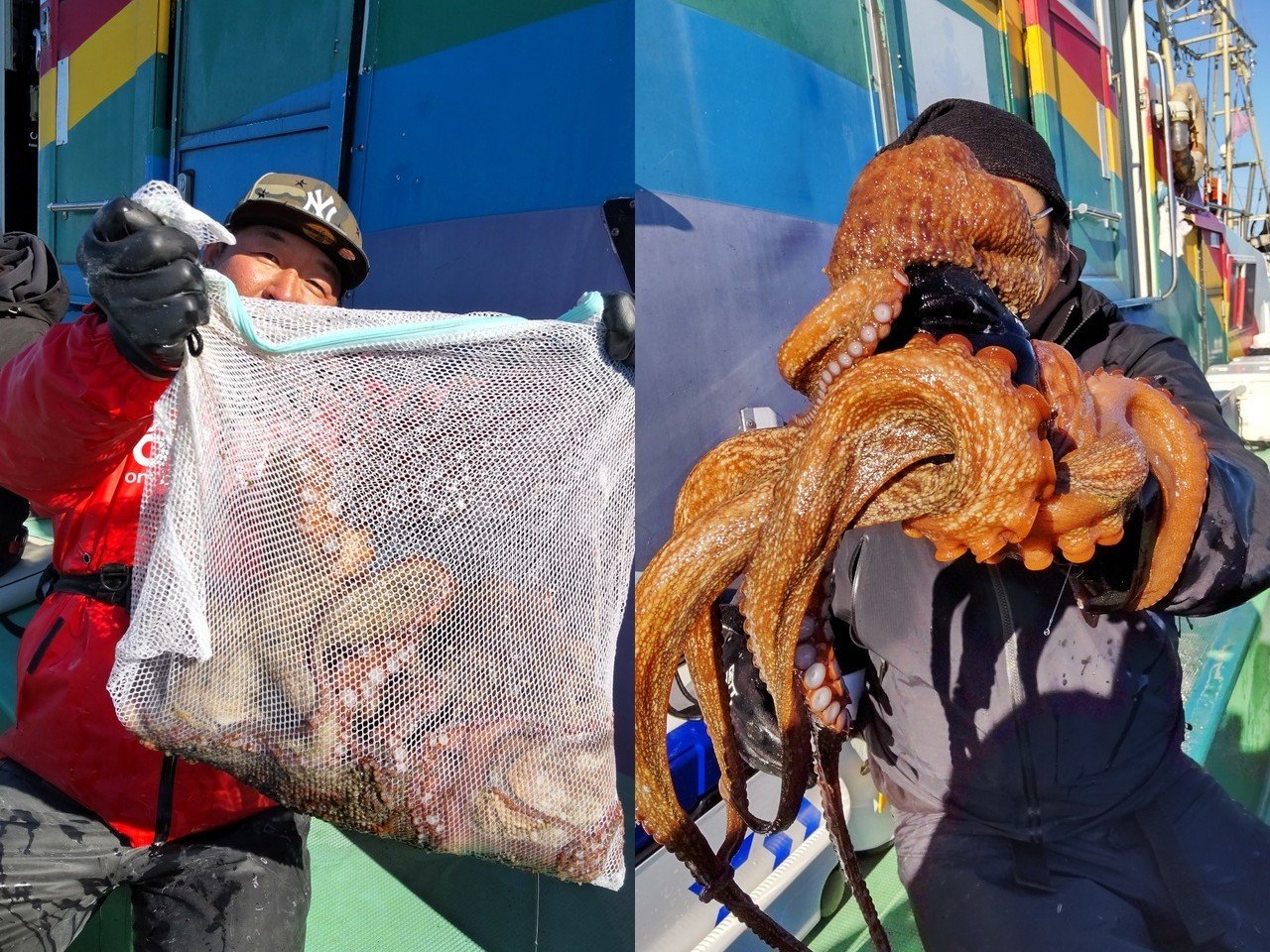 【釣果速報】風にも負けず、お目当てのマダコGET！茨城県仙昇丸で冬のタコ釣りを体験しよう！