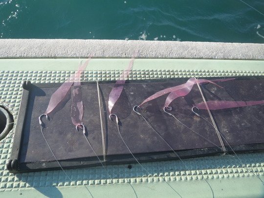 ビニール　疑似餌　マダイ釣り　写真