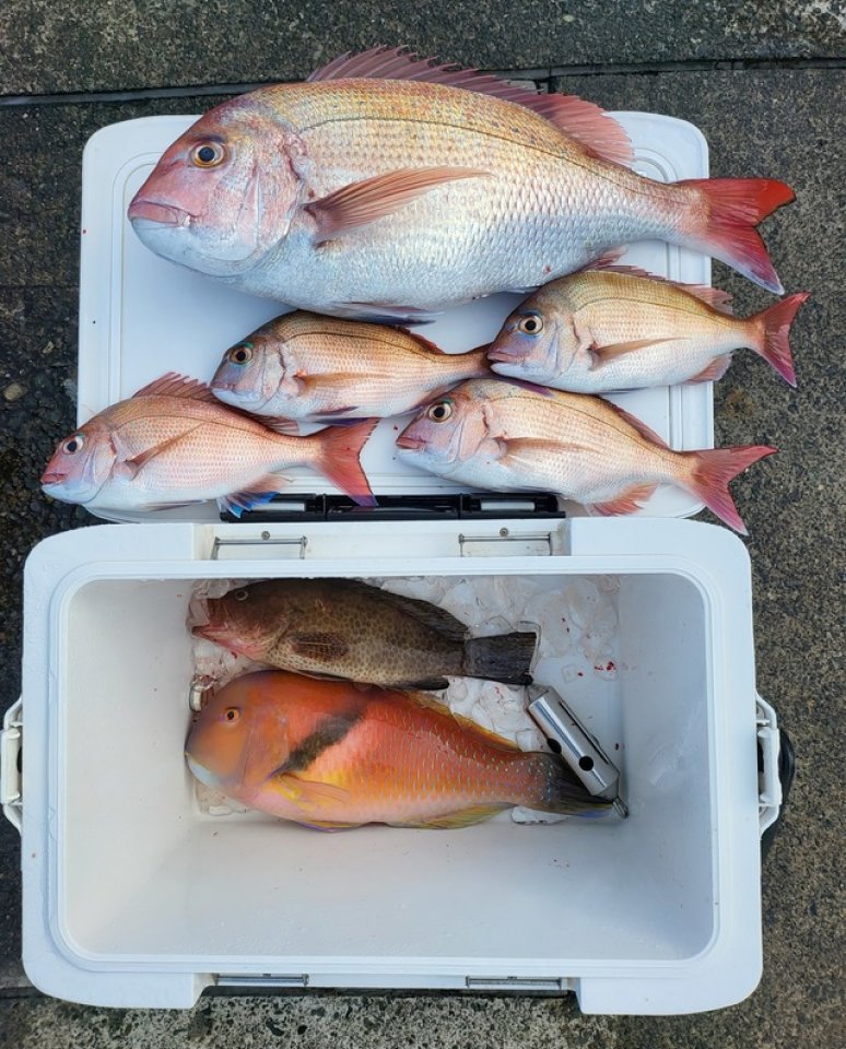 【釣果速報】静岡県鈴喜丸でマダイ・カンパチ・ハナダイと人気魚種続々ゲット！いろいろな魚との出会いを楽しみたい人は即予約を！