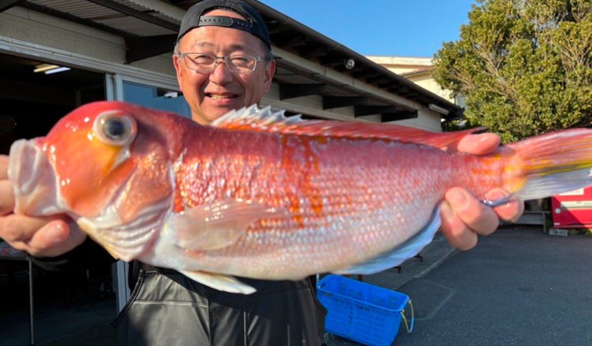 【釣果速報】見よ！51cmの巨大アマダイの迫力を！神奈川県庄治郎丸で大型高級魚GETのビッグドリームを叶えよう！